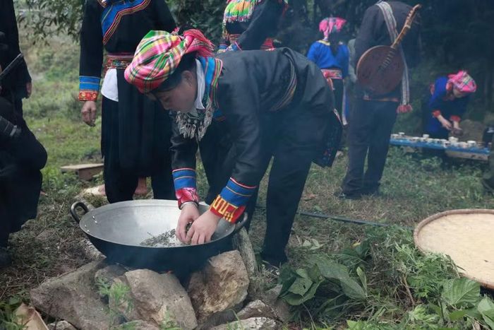 Shan tuyết, loại cây gắn bó sinh kế mật thiết với người Cờ Lao. (Ảnh: Anh Đoàn).