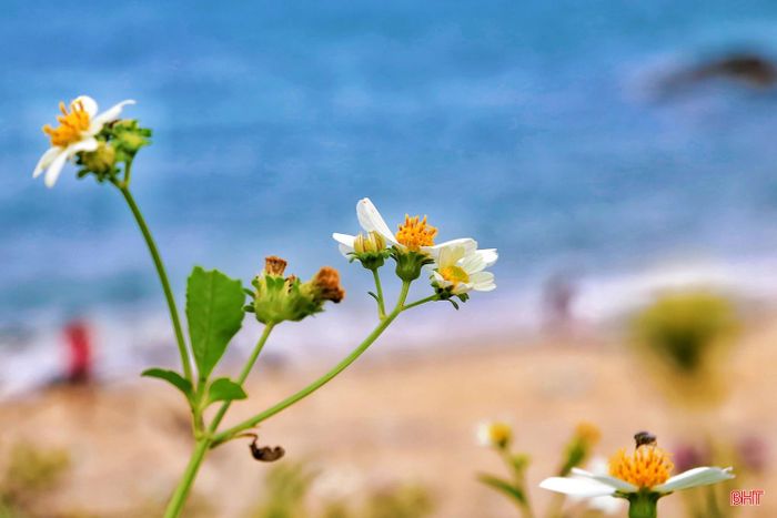 Cảnh vật ven bờ đều giữ được nét hoang sơ tự nhiên...