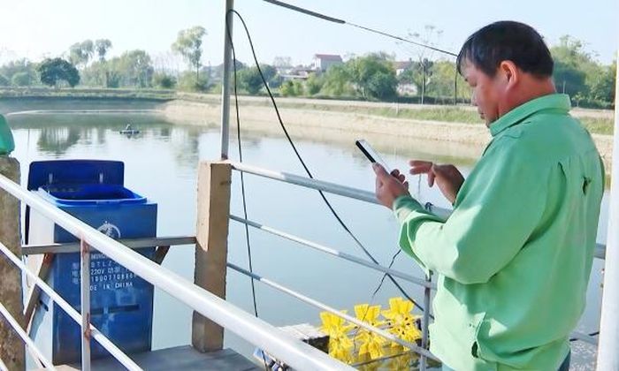  Ông Dương Văn Tiệp, thôn Ngoài Hạ, xã Tân Yên sử dụng điện thoại điều khiển máy cho cá ăn tự động. 