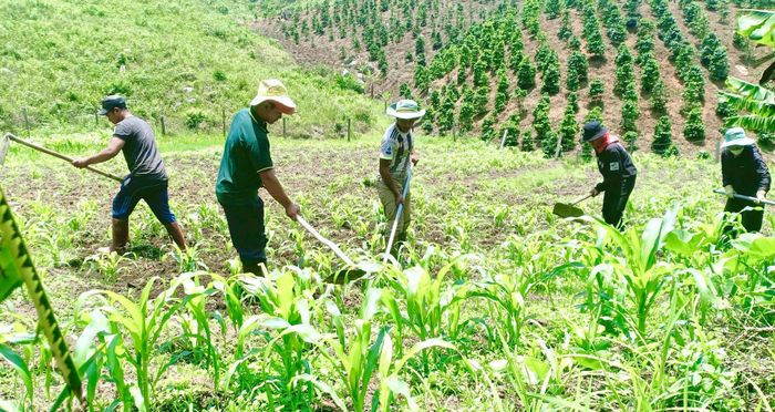 Tại các thôn, tổ dân phố có đông đồng bào DTTS, phát triển kinh tế và chăm lo đời sống Nhân dân được chi bộ đặc biệt quan tâm