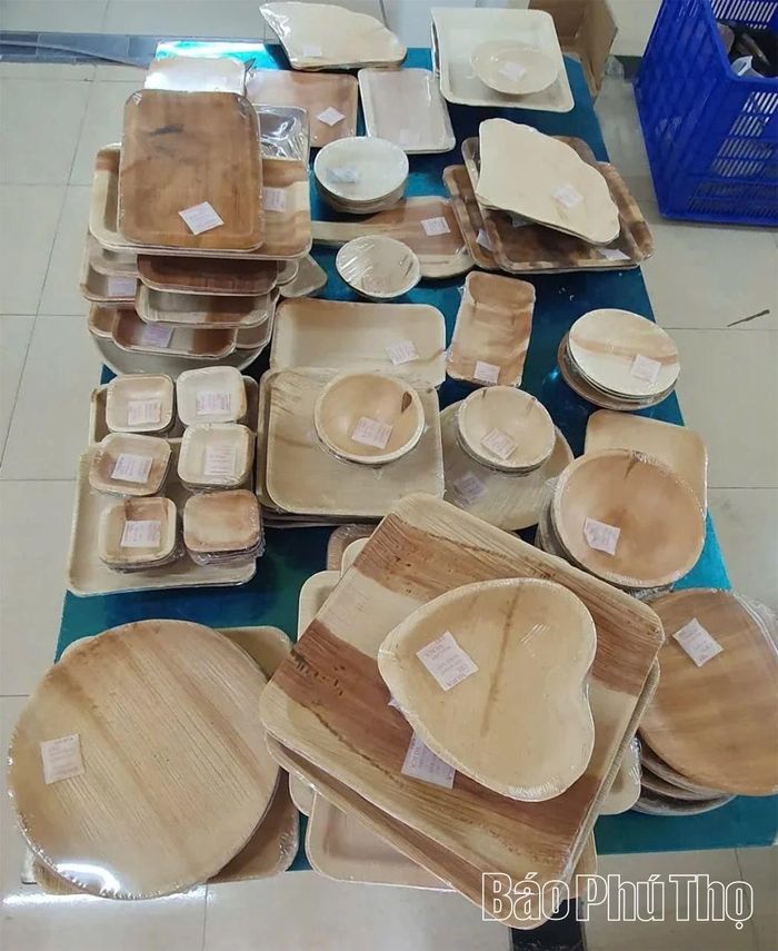 Sản phẩm chén, đĩa sinh học từ mo cau hoàn thiện, thân thiện môi trường, đáp ứng tiêu chuẩn an toàn thực phẩm.
