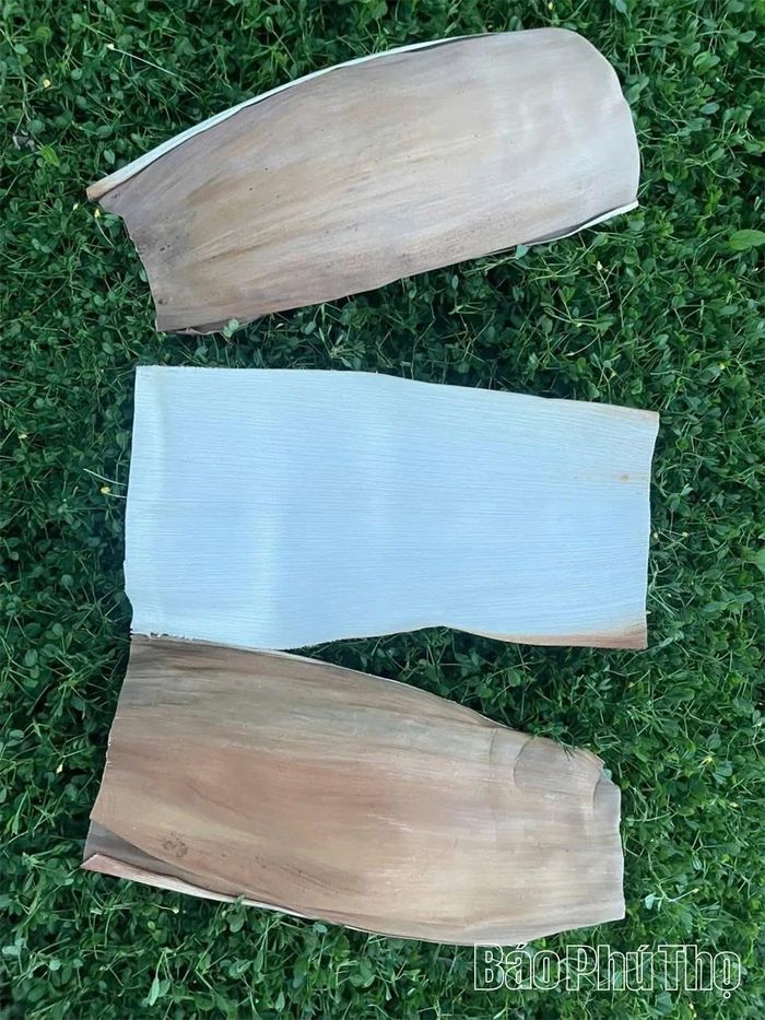 Những bẹ mo cau đạt yêu cầu về màu sắc, độ sạch và độ dày - yếu tố quyết định chất lượng sản phẩm.