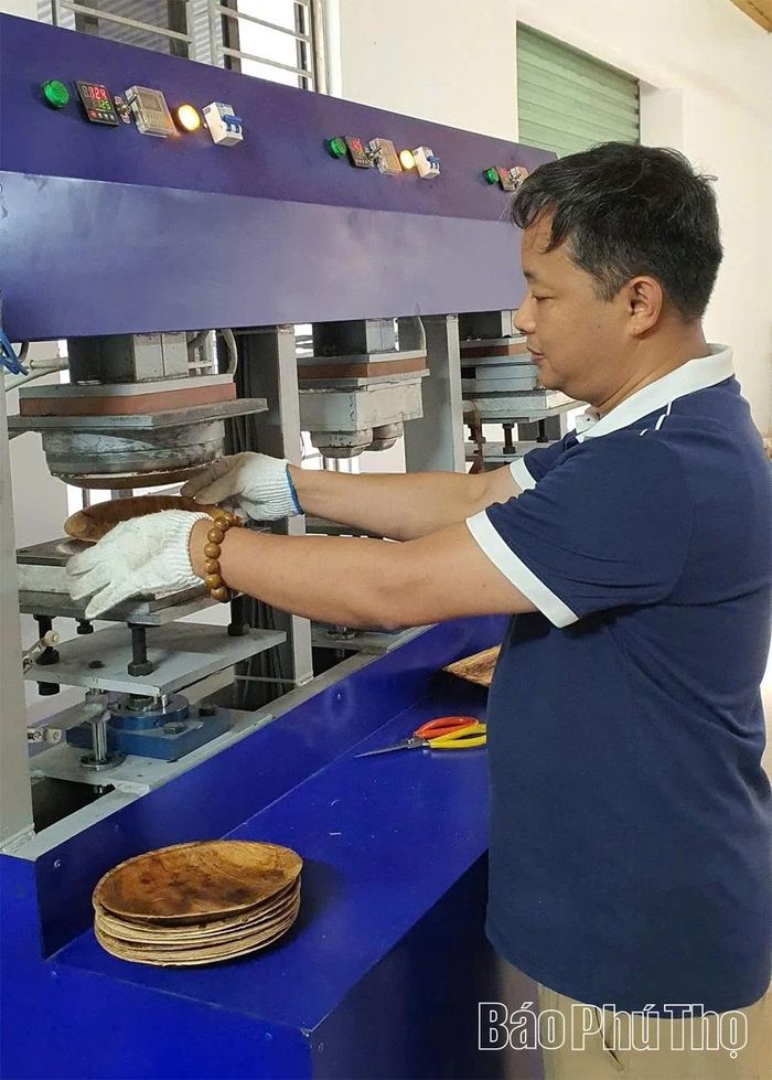Vận hành máy ép nhiệt tạo hình chén, đĩa từ mo cau tại Hợp tác xã sinh thái Đất Tổ Star Eco.