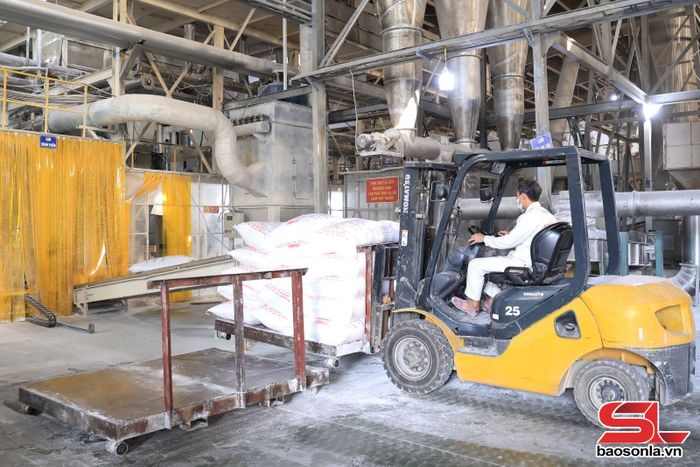 Dây chuyền chế biến của Công ty cổ phần Chế biến nguyên liệu thực phẩm BHL Sơn La.