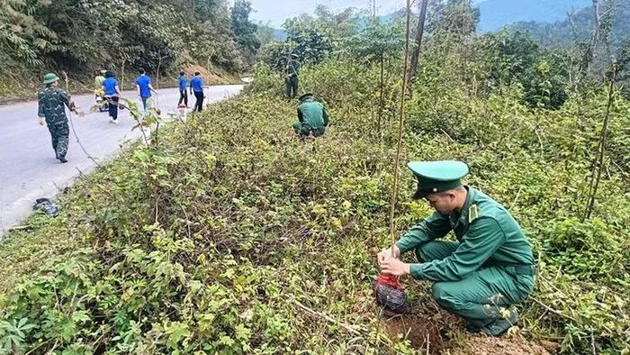 Bộ đội Biên phòng cùng thanh niên trồng cây xanh bên đường giao thông nơi biên giới.