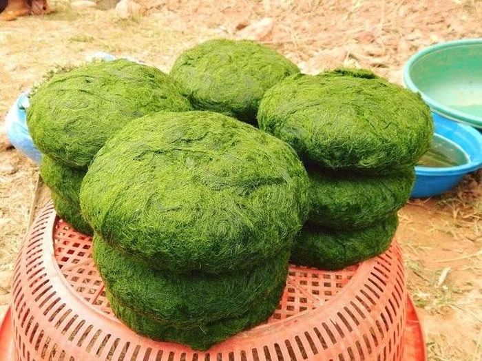 Theo kinh nghiệm dân gian, rêu đá chứa nhiều khoáng chất, chất xơ và vitamin từ nguồn nước tự nhiên. Người Thái tin rằng món ăn này giúp thanh lọc cơ thể, hỗ trợ tiêu hóa và tăng cường sức khỏe. Ảnh Danviet