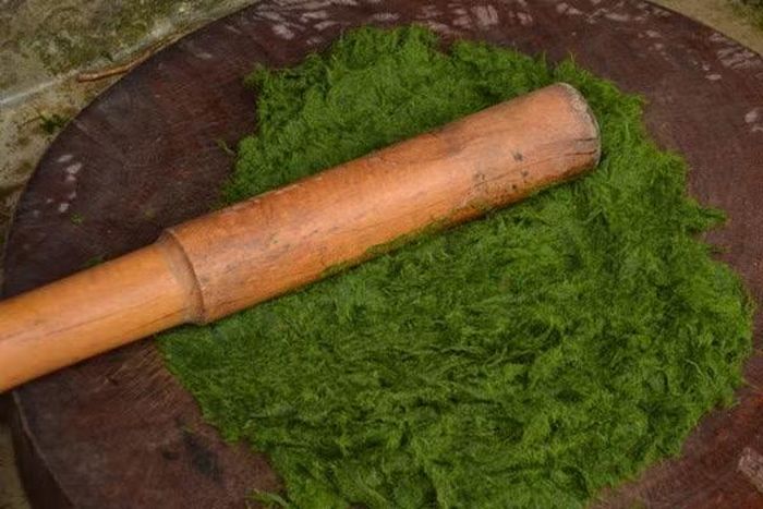 Loại rêu này bám trên các tảng đá dưới lòng suối, phát triển mạnh vào thời điểm nước trong, sạch, đặc biệt sau mùa mưa. Với nhiều người miền xuôi, rêu có thể bị xem là thứ bỏ đi, nhưng với người bản địa, đây lại là “rau sạch tự nhiên” hiếm có. Ảnh dulichtamnhinviet