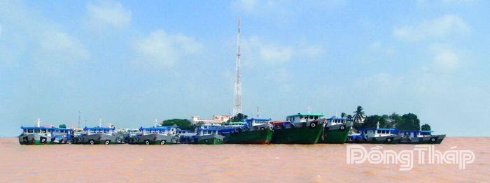 Năng lực vận tải hàng hóa của Hợp tác xã Rạch Gầm không ngừng lớn mạnh.