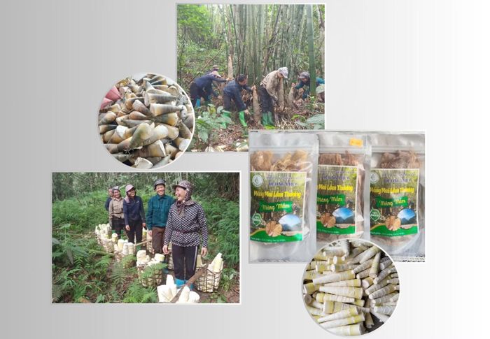 Tại “Chợ khởi nghiệp online”, các hộ kinh doanh, tổ nhóm trực tiếp giới thiệu sản phẩm, chia sẻ quy trình sản xuất và câu chuyện phía sau mỗi nông sản.
