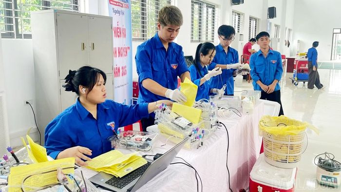 Đoàn viên, thanh niên tham gia hỗ trợ tiếp nhận, phân loại và bảo quản máu tại điểm hiến máu.