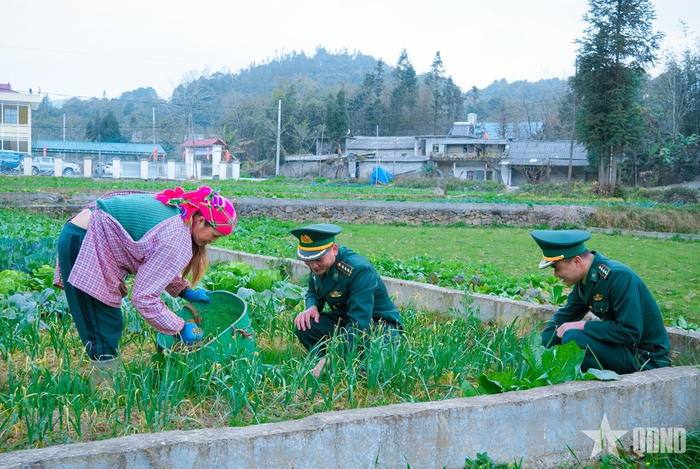  Tuổi trẻ Bộ đội Biên phòng hướng dẫn người dân chăm sóc rau màu, phát triển sản xuất.