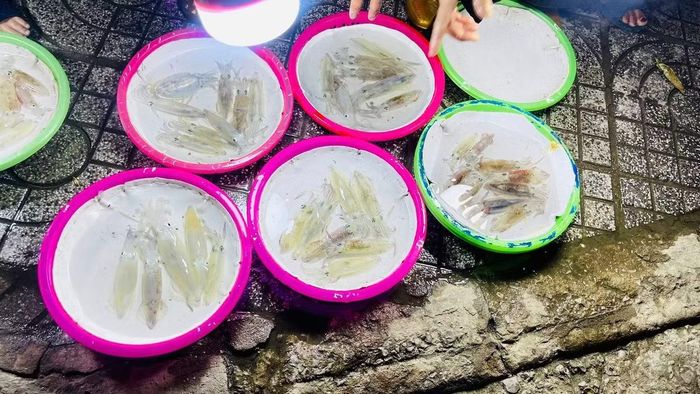 Không cân, không bảng giá niêm yết, việc mua bán ở đây diễn ra theo cách rất “đời”. Mực được chia thành từng mớ nhỏ, mỗi mớ khoảng 5–10 con, đặt trong những chiếc bát kim loại. Ảnh Nghệ An News