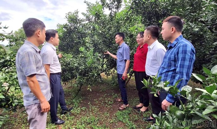 Người có uy tín trong đồng bào dân tộc thiểu số tuyên truyền, vận động Nhân dân phát triển mô hình kinh tế đem lại hiệu quả cao.