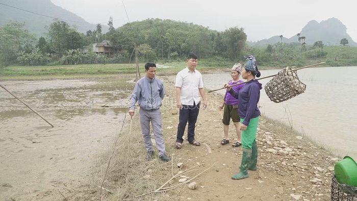 Lãnh đạo Phòng Kinh tế xã Tân Lĩnh đi nắm bắt tình hình gieo cấy dưới cao trình 58 tại thôn Thủy Nông.