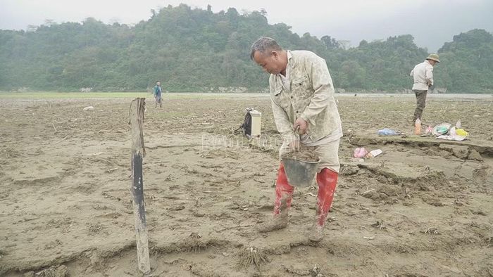 Ông Hoàng Văn Vi đang xuống giống ngô với tâm lý được ăn hoặc mất trắng.