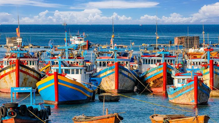 Tàu thuyền đánh bắt hải sản ở Đặc khu Phú Quý