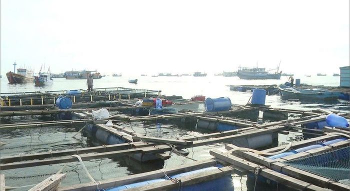 Nuôi trồng hải sản trên biển