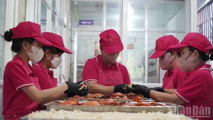 Công nhân là lao động nông thôn tham gia công đoạn chế biến muối cua tại xã U Minh, tỉnh Cà Mau.