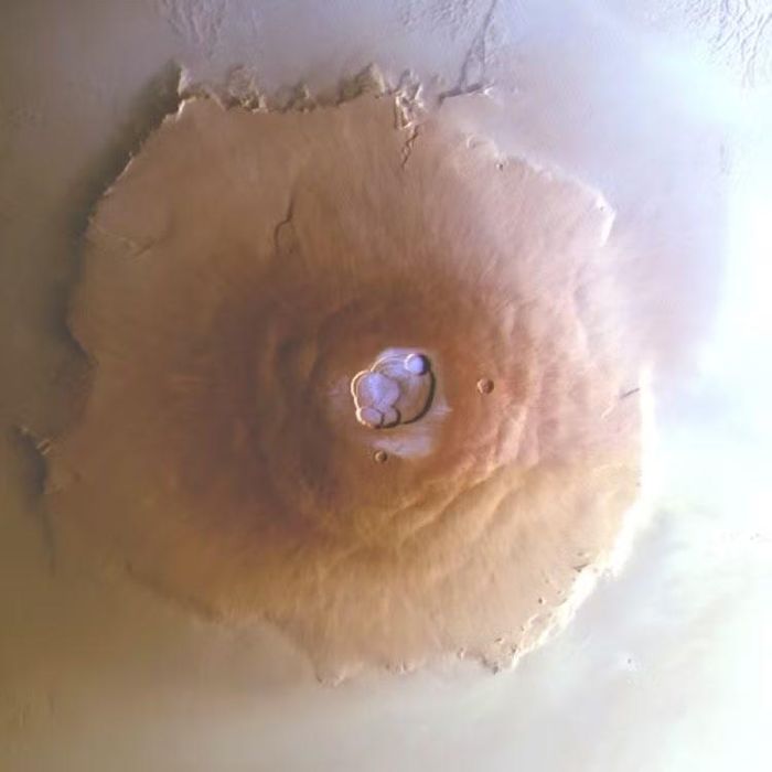 Năm 2018, NASA đã phóng tàu đổ bộ InSight lên sao Hỏa để hiểu rõ hơn về cấu tạo bên trong của hành tinh đỏ, bao gồm giúp khám phá thêm về các núi lửa. Trong nhiều năm, tàu đổ bộ InSight đã nghiên cứu cấu tạo bên trong của Sao Hỏa, cung cấp cho các nhà khoa học ước tính trực tiếp về độ dày của lớp vỏ. Ảnh: ESA/DLR/FU Berlin.