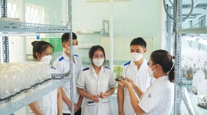Sinh viên Trường Cao đẳng Kon Tum thực hành nuôi cấy mô.