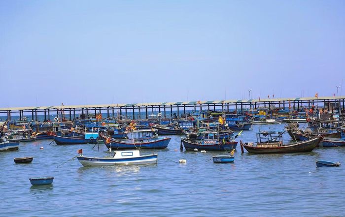  Khi đi phượt qua đèo, du khách có thể dừng chân bên cảng cá Lương Sơn để cảm nhận được nhịp sống của người dân vùng biển và mua những loại hải sản tươi ngon về làm quà. 