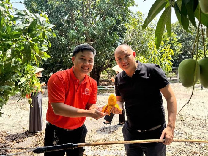 "Không chỉ bán trái, chúng tôi muốn khách đến để trải nghiệm, để hiểu hơn về công sức của người trồng xoài", anh Đặng Thế Truyền chia sẻ.
