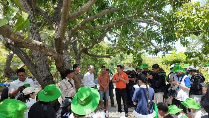 Không dừng lại ở sản xuất nông nghiệp, những năm gần đây, người dân Cam Lâm mạnh dạn mở cửa vườn đón khách tham quan. Mô hình này nhanh chóng thu hút du khách bởi sự gần gũi, chân thực và trải nghiệm khác biệt.
