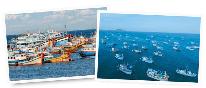 Hệ thống tàu công suất lớn góp phần nâng cao chất lượng khai thác biển tại Lâm Đồng