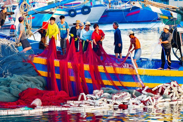 Chuẩn bị ngư lưới cụ cho chuyến biển dài ngày. Ảnh tư liệu