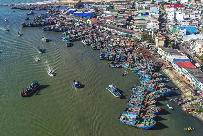 Cảng cá La Gi. Ảnh tư liệu