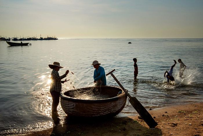 Kiểm tra lưới.