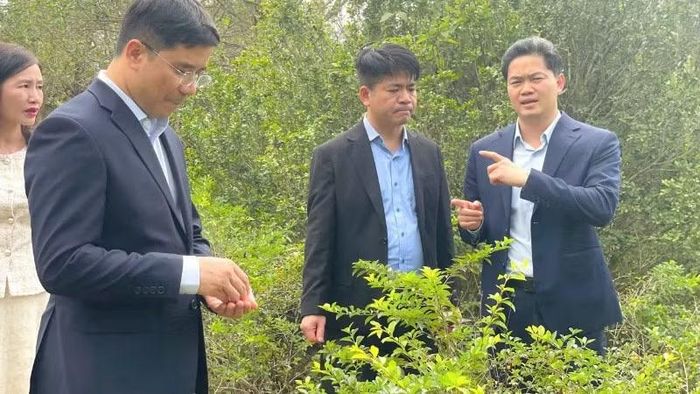  Thứ trưởng Thường trực Bộ Y tế Vũ Mạnh Hà (ngoài cùng bên phải) làm việc tại Trung tâm Nghiên cứu dược liệu Bắc Trung Bộ - Viện Dược liệu. 