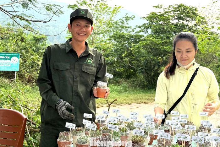 “Clean Up Son Tra – Vì một Sơn Trà xanh” được tổ chức nhiều năm qua và nhận được sự quan tâm rất lớn từ các đơn vị, doanh nghiệp, CLB, hội, nhóm trên khắp cả nước.