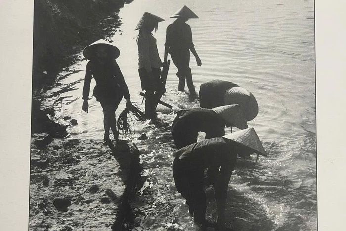 Tiểu đội trưởng dân quân Yên Vực Nguyễn Thị Hiền trong bức ảnh “Sau buổi làm cỏ lúa”, tác giả Mai Nam.