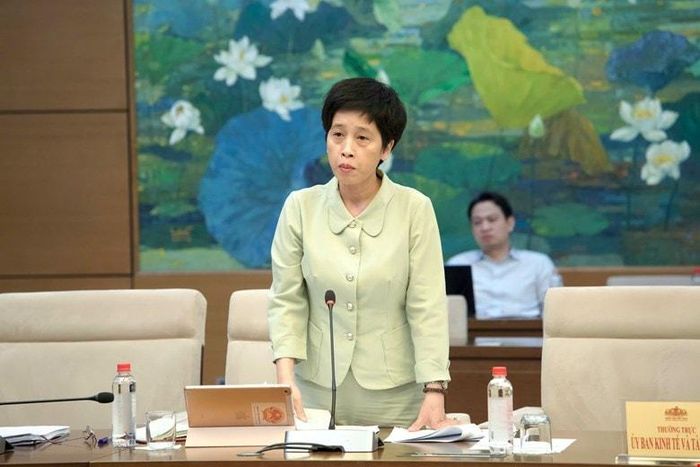 Phó Chủ nhiệm Ủy ban Kinh tế và Tài chính Nguyễn Thị Phú Hà phát biểu. Ảnh: Hồ Long