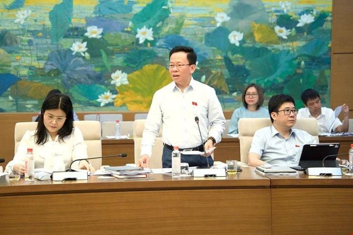 Ủy viên là ĐBQH hoạt động chuyên trách tại Ủy ban Kinh tế và Tài chính Lê Minh Nam phát biểu. Ảnh: Hồ Long