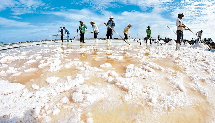 Diêm dân xã Vĩnh Hậu trúng mùa muối trải bạt.