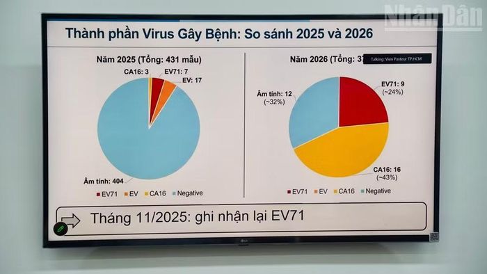 Thông tin về bệnh tay chân miệng của Trung tâm Kiểm soát bệnh tật Thành phố Hồ Chí Minh.
