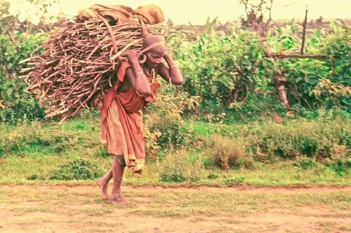 Gắn bó với nông nghiệp truyền thống. Người Kikuyu chủ yếu trồng trọt trên vùng đất cao nguyên màu mỡ, với các loại cây như ngô, đậu và cà phê. Ảnh: Pinterest.
