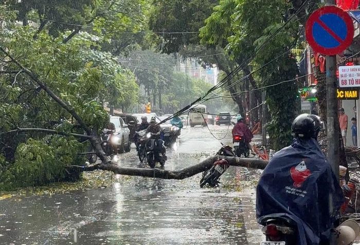 Hiện trường xảy ra sự việc. (Ảnh: LH).