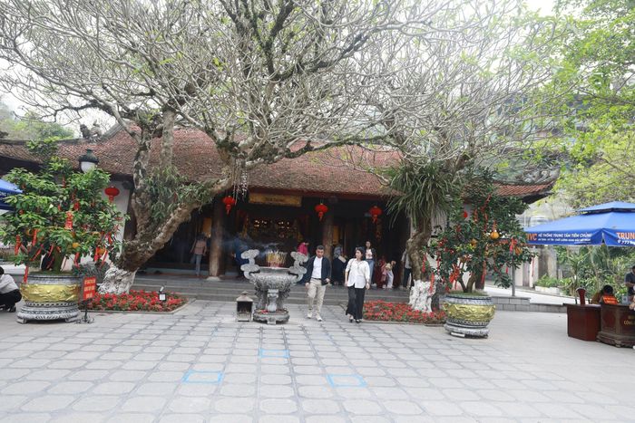 Khoảng sân rộng, bình yên dưới bóng cây cổ thụ ở Đền Thỏng. Ảnh: Tuấn Anh