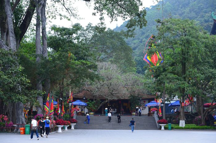 Vẻ đẹp của Tây Thiên nằm ở sự tĩnh lặng. Khói hương lãng đãng, mái ngói cũ, cột gỗ trầm màu và tiếng chuông chùa giữa đại ngàn tạo nên cảm giác thanh khiết, bình yên. Đến đây, du khách không chỉ lễ Phật mà còn tìm được khoảng lặng cho tâm hồn. Trong ảnh là Đền Thỏng mang vẻ cổ kính dưới tán cây già hàng trăm năm tuổi. Ảnh: Tuấn Anh