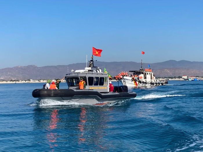 Khu bảo tồn biển Hòn Cau có diện tích khoảng 12.500 ha, được đánh giá là một trong những vùng biển có đa dạng sinh học cao. Nơi đây sở hữu rạn san hô nguyên thủy dài hơn 2 km với 234 loài, cùng hệ sinh thái phong phú với 324 loài cá, 119 loài thân mềm, 32 loài da gai và 46 loài giáp xác, bò sát.