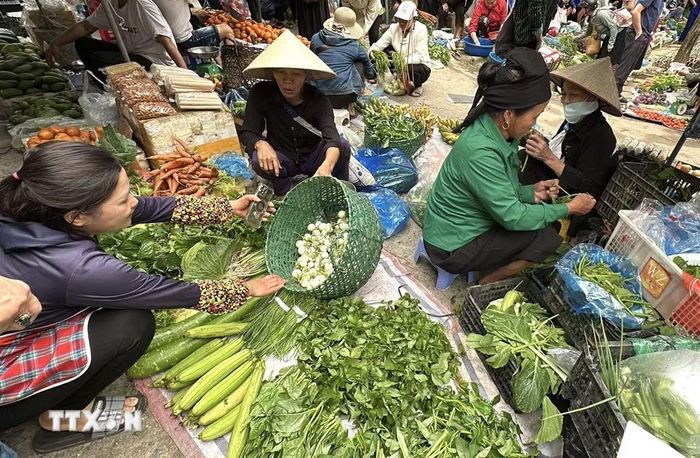 Chợ phiên Phương Độ (Hà Giang 1, Tuyên Quang). (Ảnh: Đức Thọ/TTXVN)