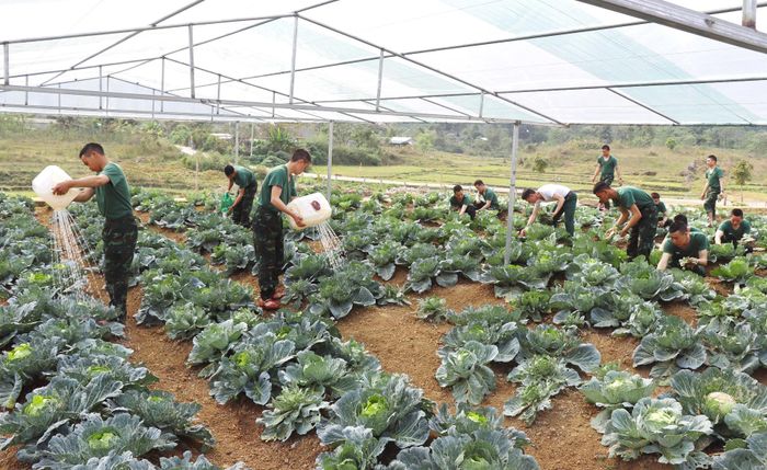 ... tăng gia sản xuất, nâng cao đời sống bộ đội.