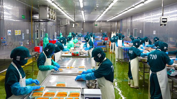 Chế biến thủy sản xuất khẩu. Ảnh tư liệu