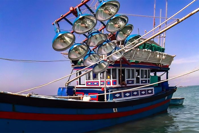 Tàu khai thác thủy sản nghề mành đèn. Ảnh tư liệu