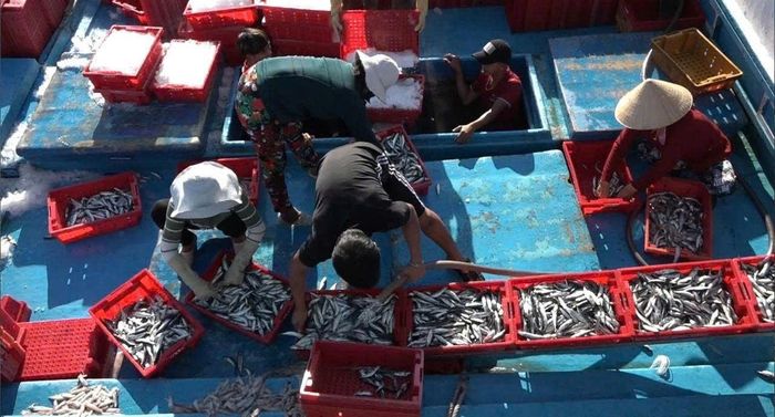 Nguồn lợi hải sản của Lâm Đồng phong phú