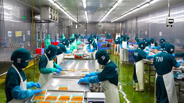 Chế biến thủy sản xuất khẩu. Ảnh tư liệu