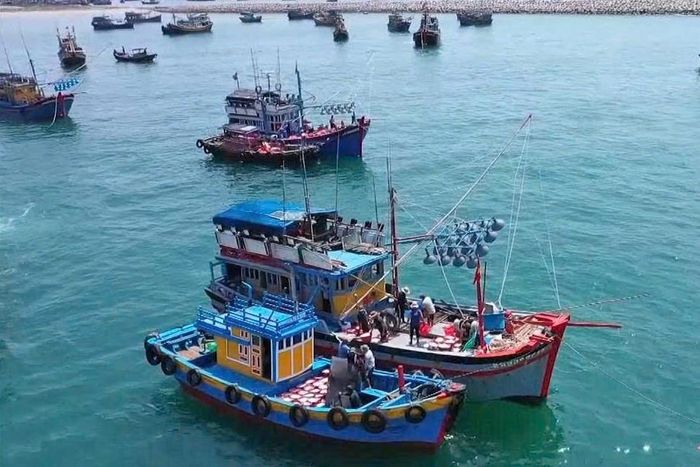Gần 2.000 tàu cá có chiều dài từ 15 m trở lên đã gắn giám sát hành trình (VMS)
